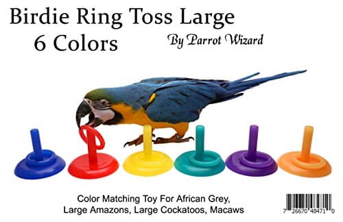 Birdie Ring Toss Trick for Parrots
