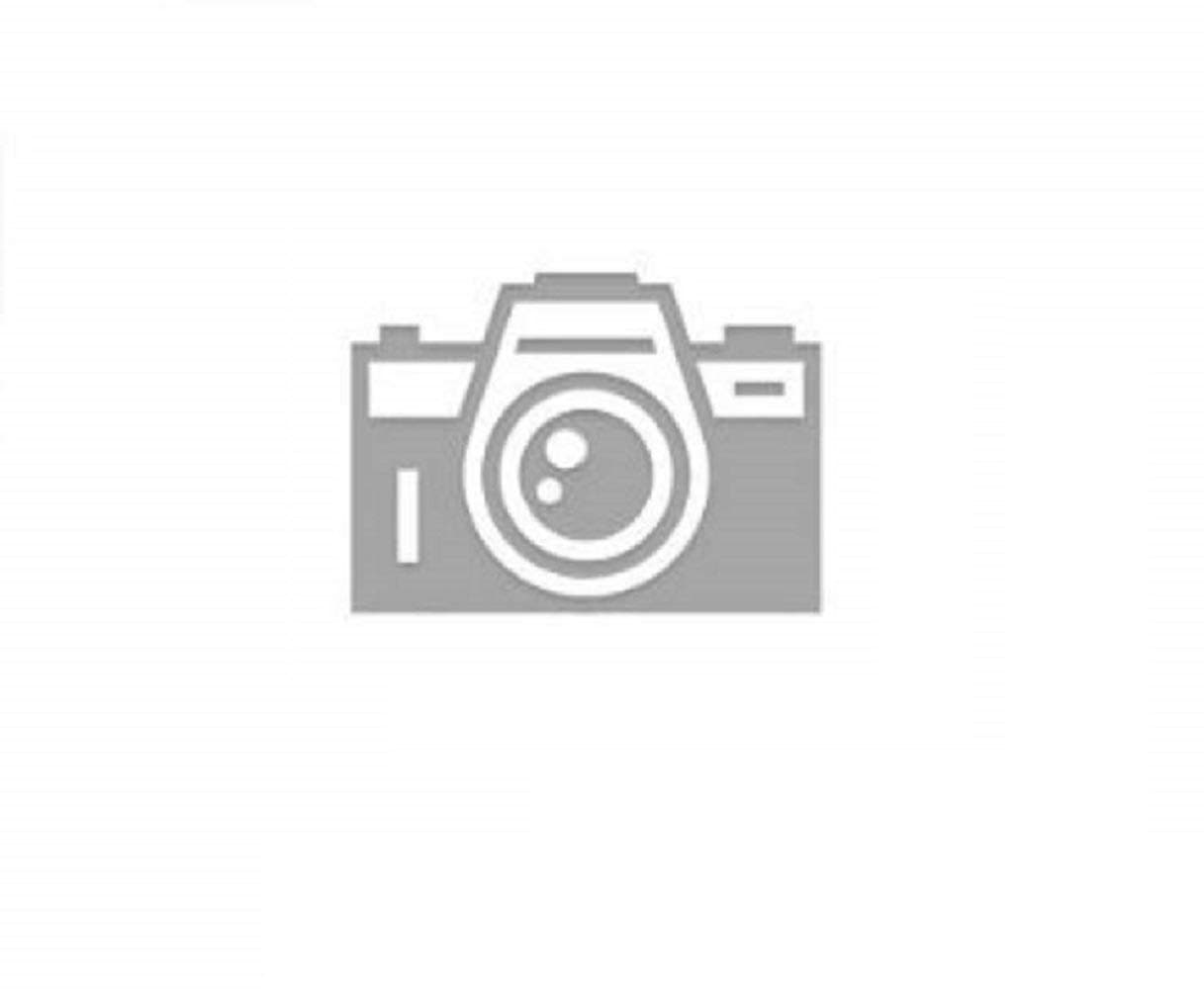 Floral, Daffodil Pencil, 10 Stems