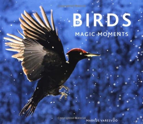 Birds: Magic Moments