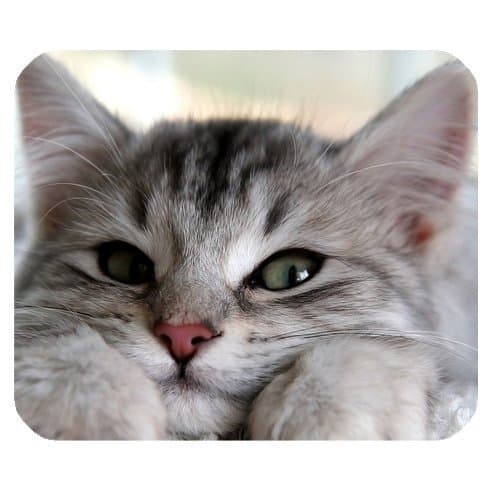 Customized Rectangle Mousepad Gaming Mouse Pad with Cute Cat Printed Pad513