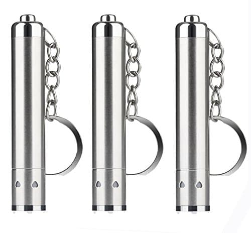 WAYLLSHINE 3 Pack Mini LED Keychain Flashlight, Ultra Bright Key Ring Light LED Keychain Flashlight, Stainless Steel Micro LED Flashlight for Keychain(Pack of 3)