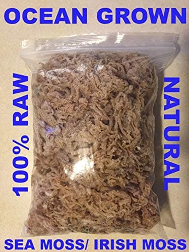 RAW Irish Moss 16oz OCEAN GROWN