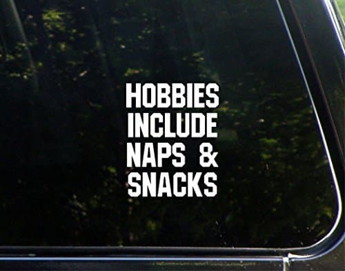 Hobbies Include Naps &amp; Snacks - 4" x 3-3/4" - Decals Stickers For Windows, Windshields, Bumpers, Laptops, Glassware, Hard Surfaces, etc.