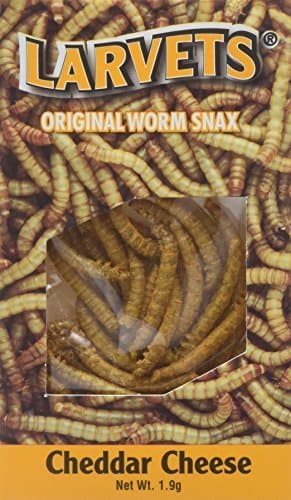 Larvets- Cheddar Cheese by Hotlix