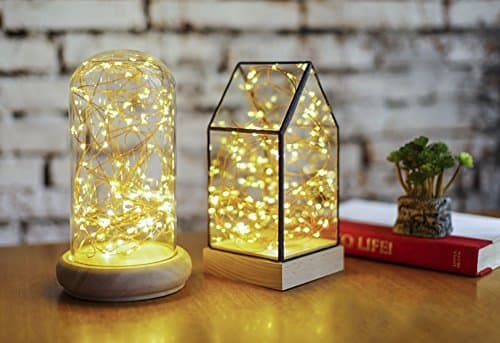 Ougilay LED Decorative Lights String Copper Waterproof Outdoor Party String lights Indoor Room Garden Waterproof USB Powered With Remote Control