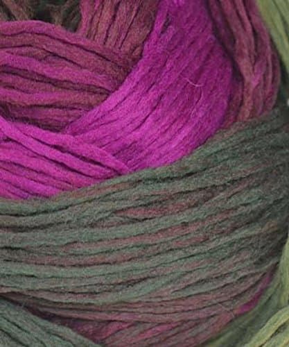 Schoppel Yarn Gradient #2249 Tea Ceremony