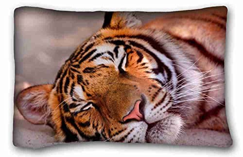 Custom Cotton &amp; Polyester Soft ( Animals tiger faces sleeping big cat ) Custom Cotton &amp; Polyester Soft Rectangle Pillow Case Cover 20x30 inches (One Side) suitable for King-bed PC-Green-33767