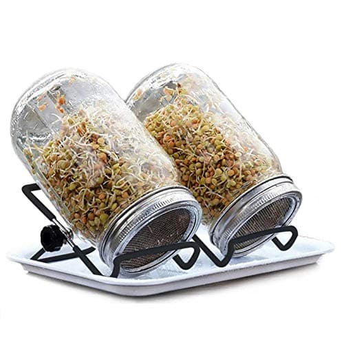 2 Pack Stainless Steel Sprouting Stands Foldable Sprouter Black Non-Slip Scaffolds for Mason Jar Lid/ipad Tablet Phone Stand