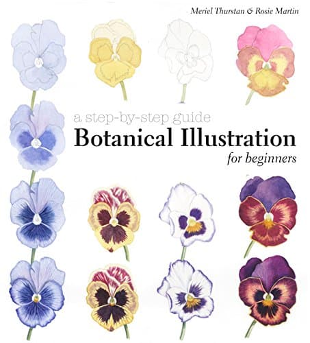 Botanical Illustration for Beginners: A Step-by-Step Guide