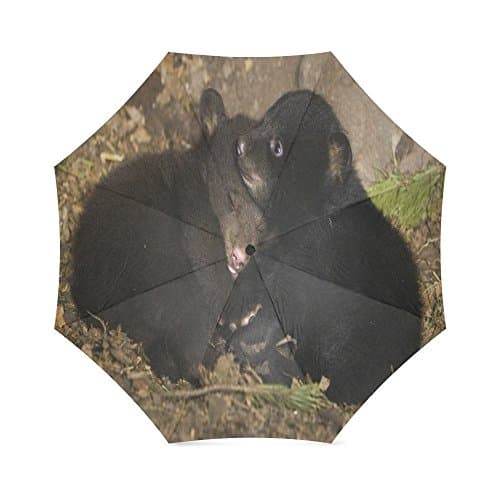 Custom Cute Black Bear Baby Compact Travel Windproof Rainproof Foldable Umbrella
