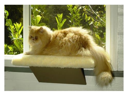 Casual Pet Products Kitty Window Perch