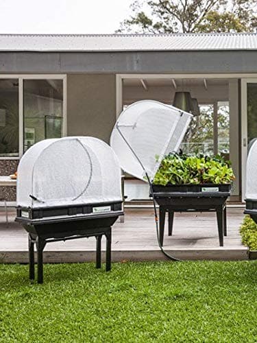 Vegepod Raised Garden Bed, Medium