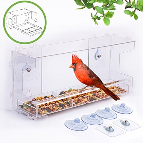 Best Bird Feeder For Window | 100% Acrylic DIY Never Fall | Build Birdhouse and Feeder For Outdoor Wild Birds | Watching From Kitchen Room| Kids Love (Removable Food Tray Large)