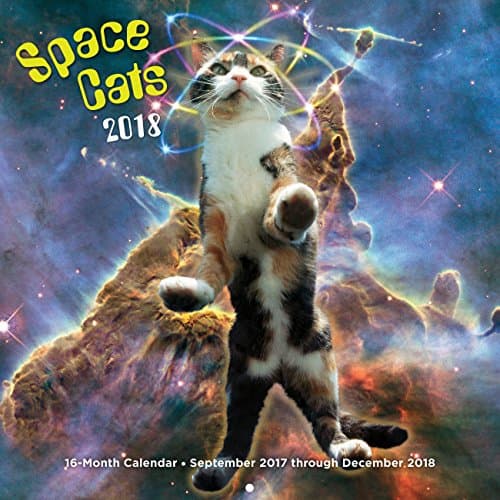 Space Cats 2018: 16 Month Calendar Includes September 2017 Through December 2018 Calendar – Wall Calendar, 3 Aug. 2017
