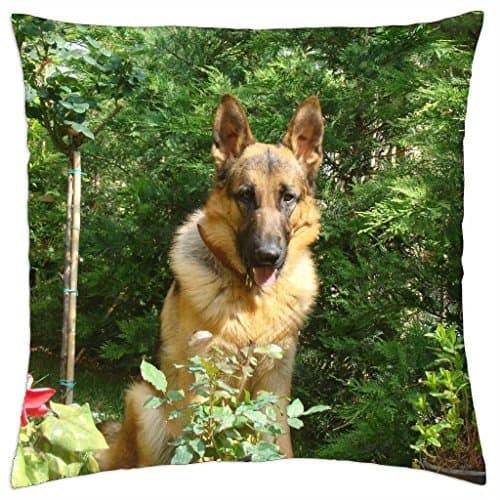 German shepherd - Throw Pillow Cover Case (18