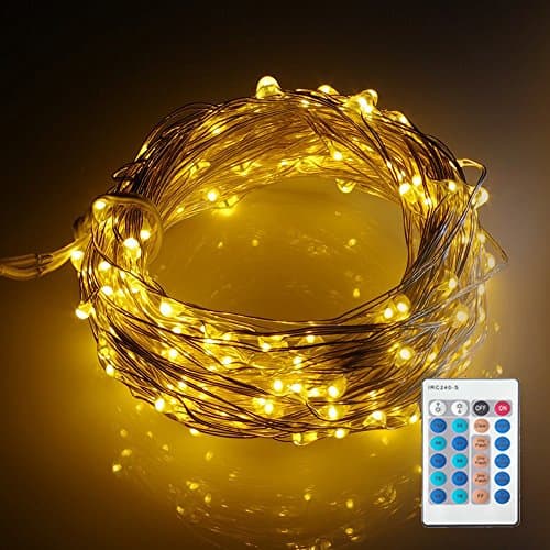 Palmery Indoor LED String Light Warm White Ultra Thin Copper Wire Waterproof Dimmable Lighting Strand Lights 10M (33Ft) 100 LEDs with Power Adapter for Garden, Patio, Wedding, Tree, Party, Christmas