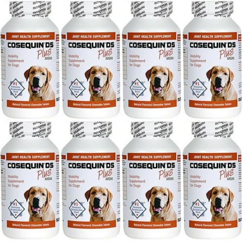 Nutramax Cosequin DS Plus MSM 2000ct (8 x 250ct)