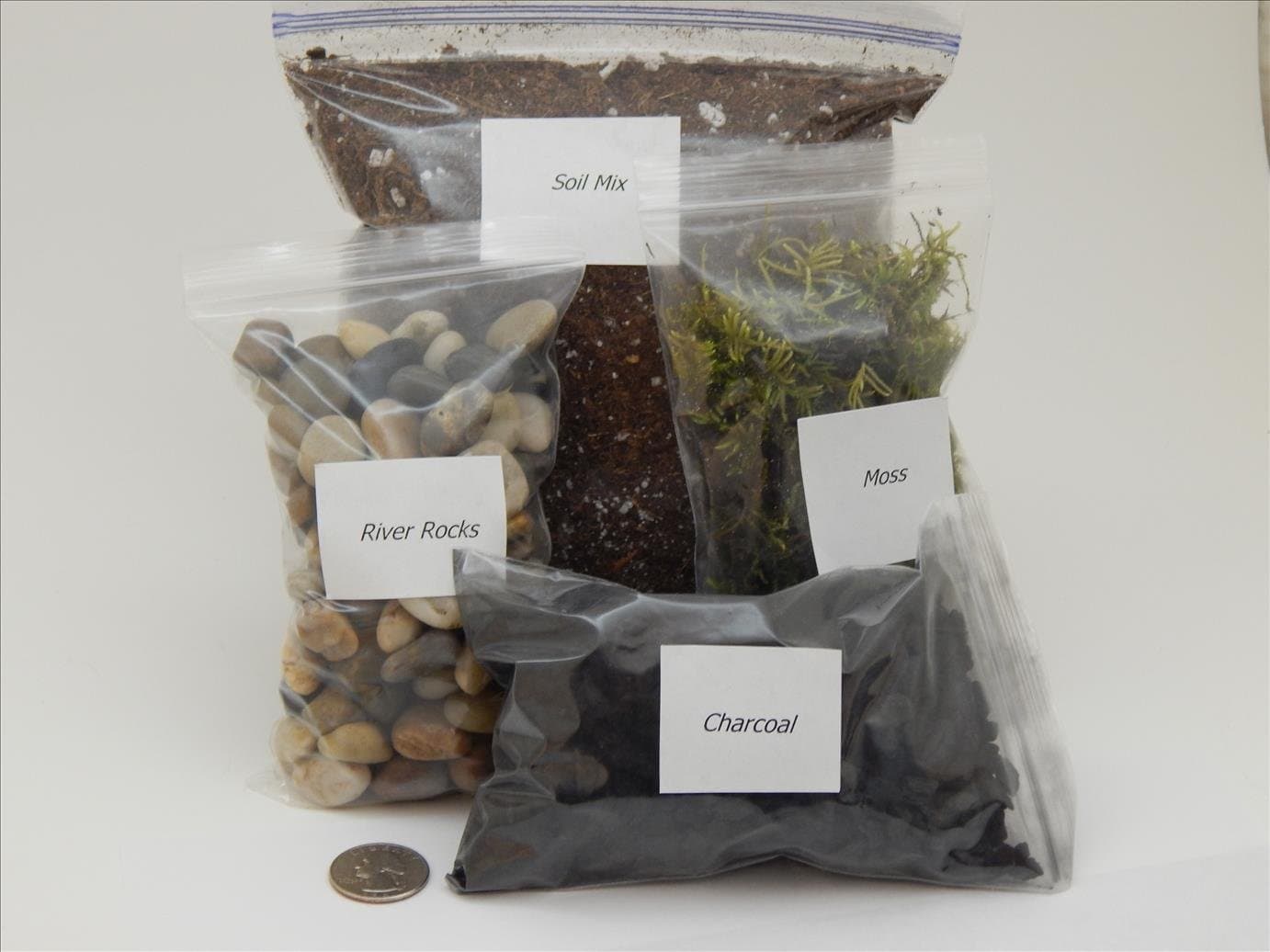 Terrarium DIY Carnivorous Plants Kit (Large)