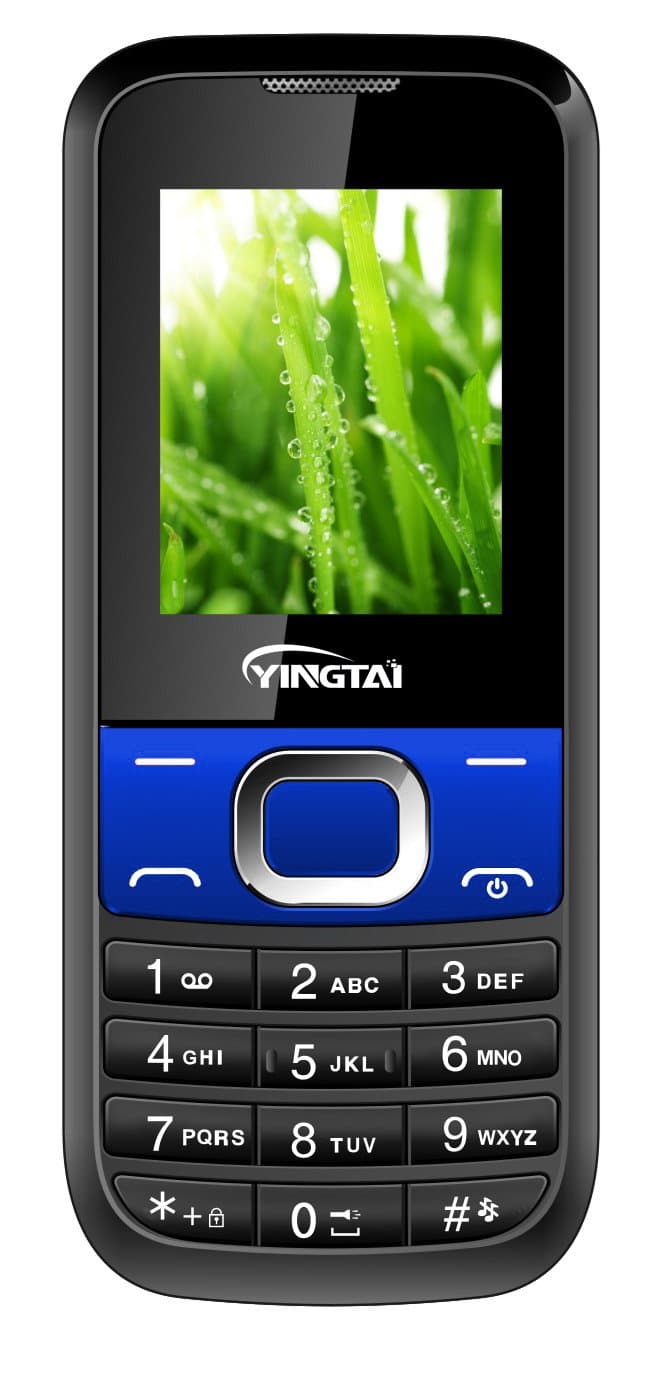 Simple Easy to Use Cell Phone (Blue)