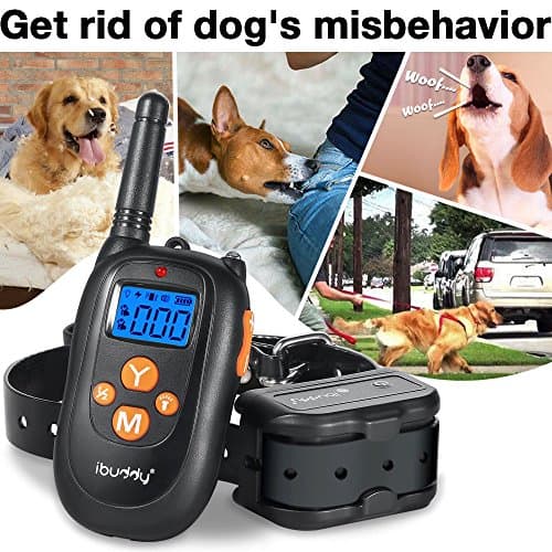 iBuddy Dog Training Collars with Remote for Small/Medium/Large Dogs, 1000ft Range 100% Waterproof Rechargeable Shock Collar of Dogs with Beep, Vibration and Shock Modes Electric Dog Shock Collar