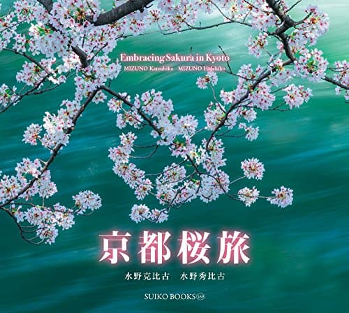 Cherry Blossoms in Kyoto