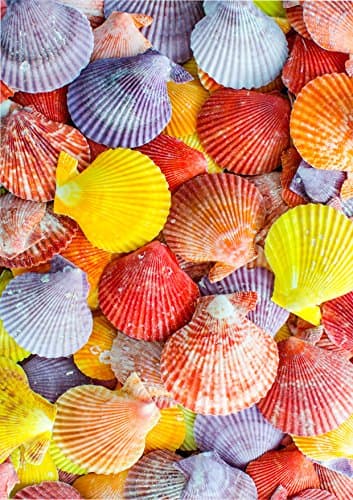 1 x A4 Printed Colourful Seashell Shell Beach Seaside Wallpaper Decor Icing Sheet Edible Cake Topper Decorated Sheet - Perfect for Large Cakes