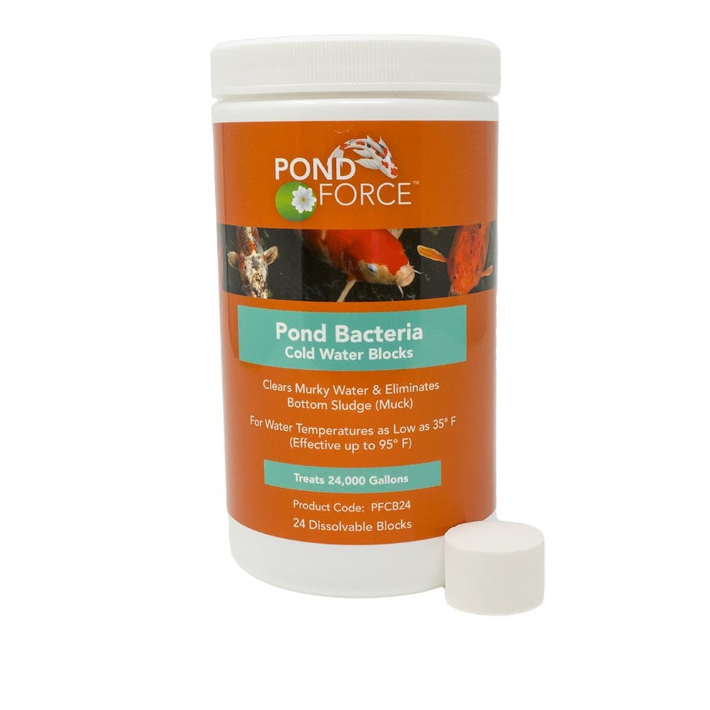 Coldwater Blocks 24 Blocks