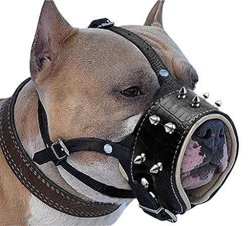 Fundodo Cool Spiked Studded Pu Leather Dog Muzzle Anti Biting Padded Dogs Traning Muzzle No Bark Pet Mask For Pitbull Labrador