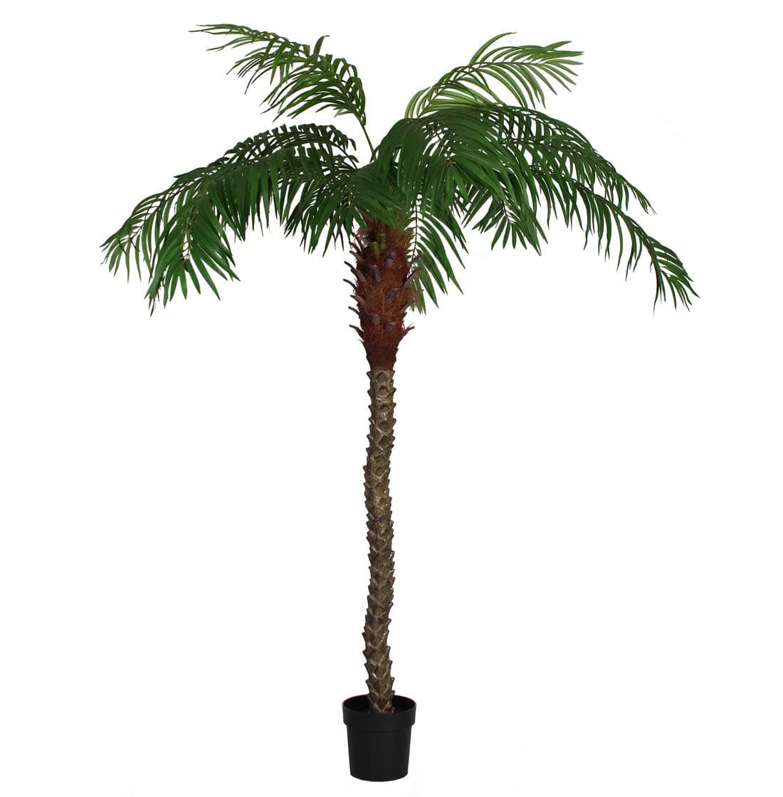 Blooming Artificial – Large Artificial Phoenix Palm Tree, Suitable for Indoor Use, Available in Two Sizes, Pre-Potted
