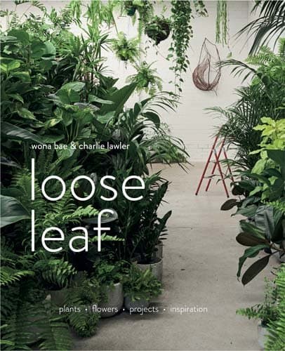 Loose Leaf: Plants - Flowers - Projects - Inspiration