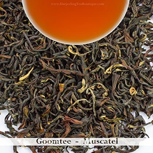 Bulk Wholesale Pack - 2017 Darjeeling Second Flush Tea | Goomtee | 500gm (17.63oz) | Muscatel Flavor, Complex Tastes | Darjeeling Tea Boutique