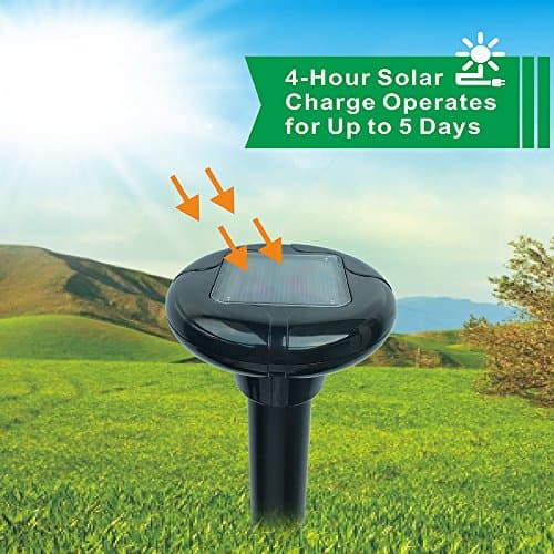 LOMEREY 1 Pack Sonic Spike Solar Mole Chaser Gopher Deterrent Vole Control Products Rodent Repellent Ultrasonic Drive Away Groundhog Chipmunk Squirrel Snake Skunk Animal with High Pitch Noise