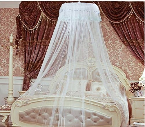 Mosquito Net Bed Canopy with Lace Dome, White (white)