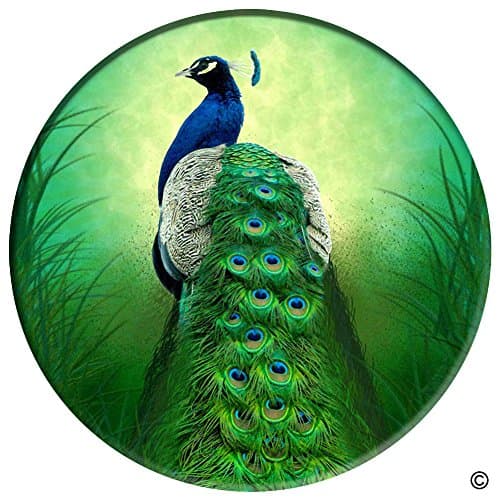 Expanding Stand and Grip for Smartphones and Tablets, Multi-function Mounts and Stands Kit Car Mount iPhone Holder Collapsible Black - Peacock