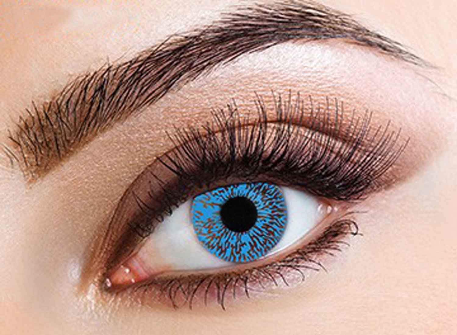 Blue 1 Tone Eye Accessories for Make Up