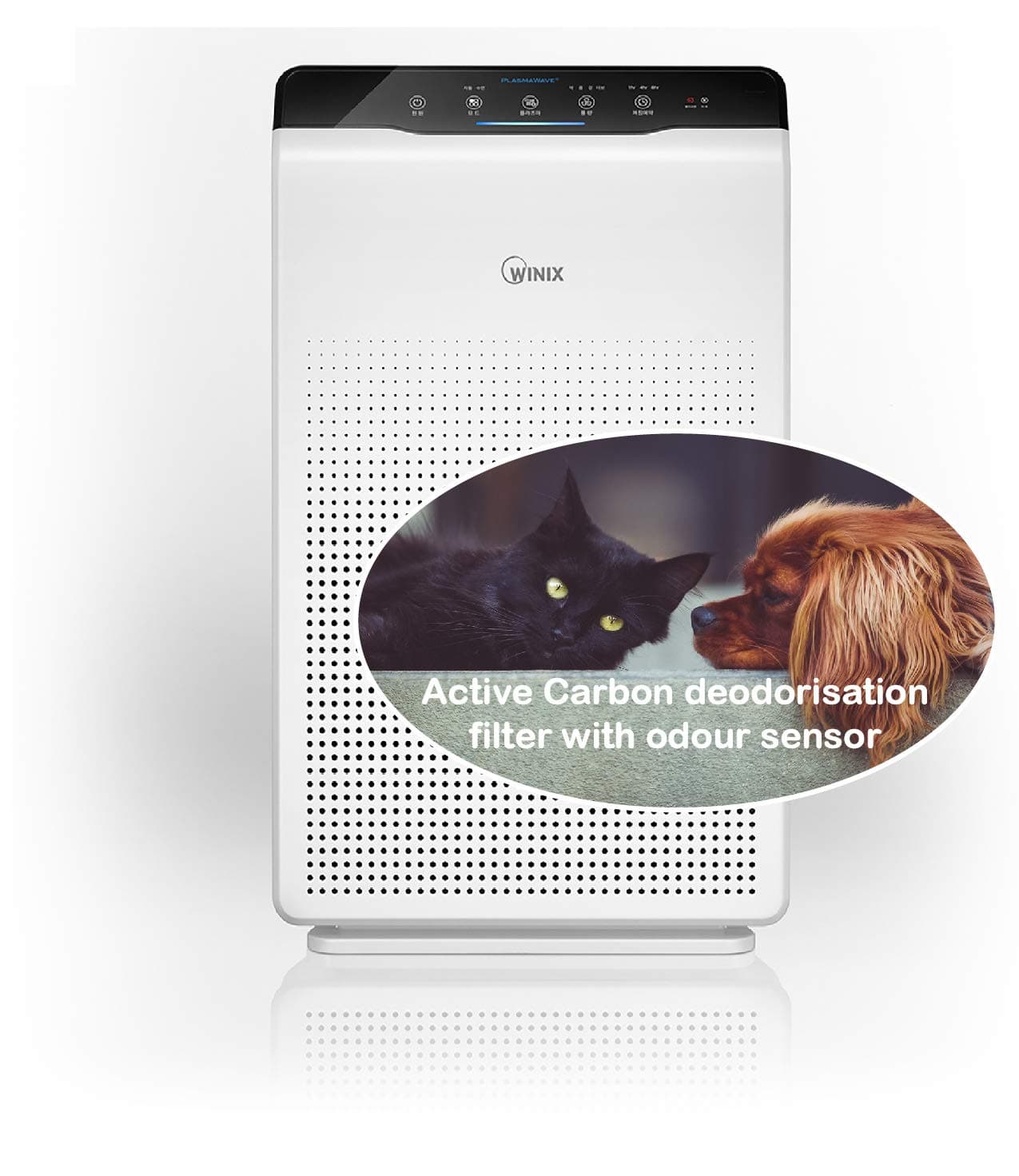 Winix 2020EU Air Purifier with True HEPA, active Carbon filter, PlasmaWave, Auto & Sleep mode, for allergies, smokers, dust, odour reduction , silent, up to 77 sqm, ideal for large living spaces [Energy Class A++]