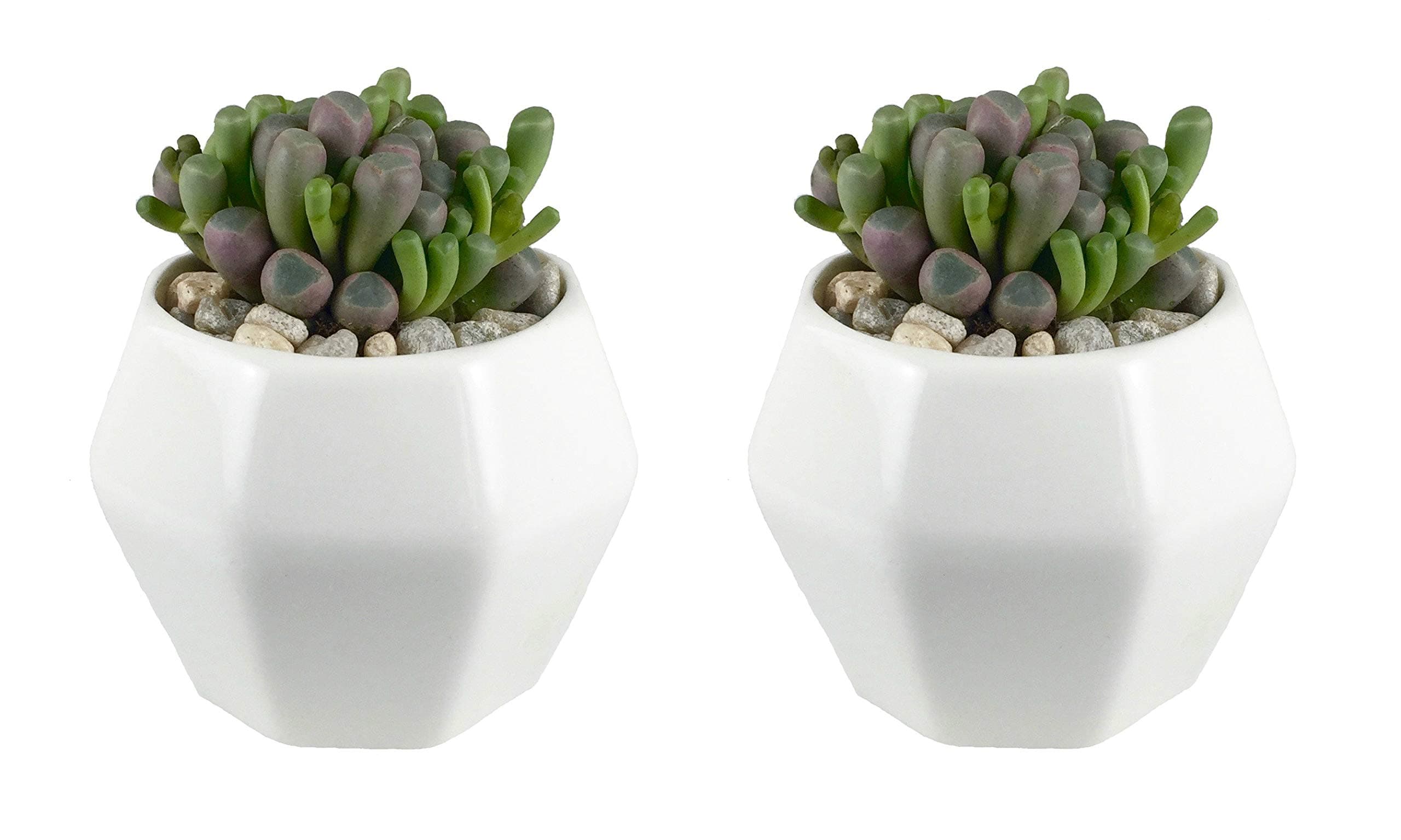 2-Pack Hexagon Modern Minimalist White Ceramic Succulent Pot. Perfect planter/flower pot for succulent, cacti, flowers, live or artificial plants for home or office (PLA0047-11)