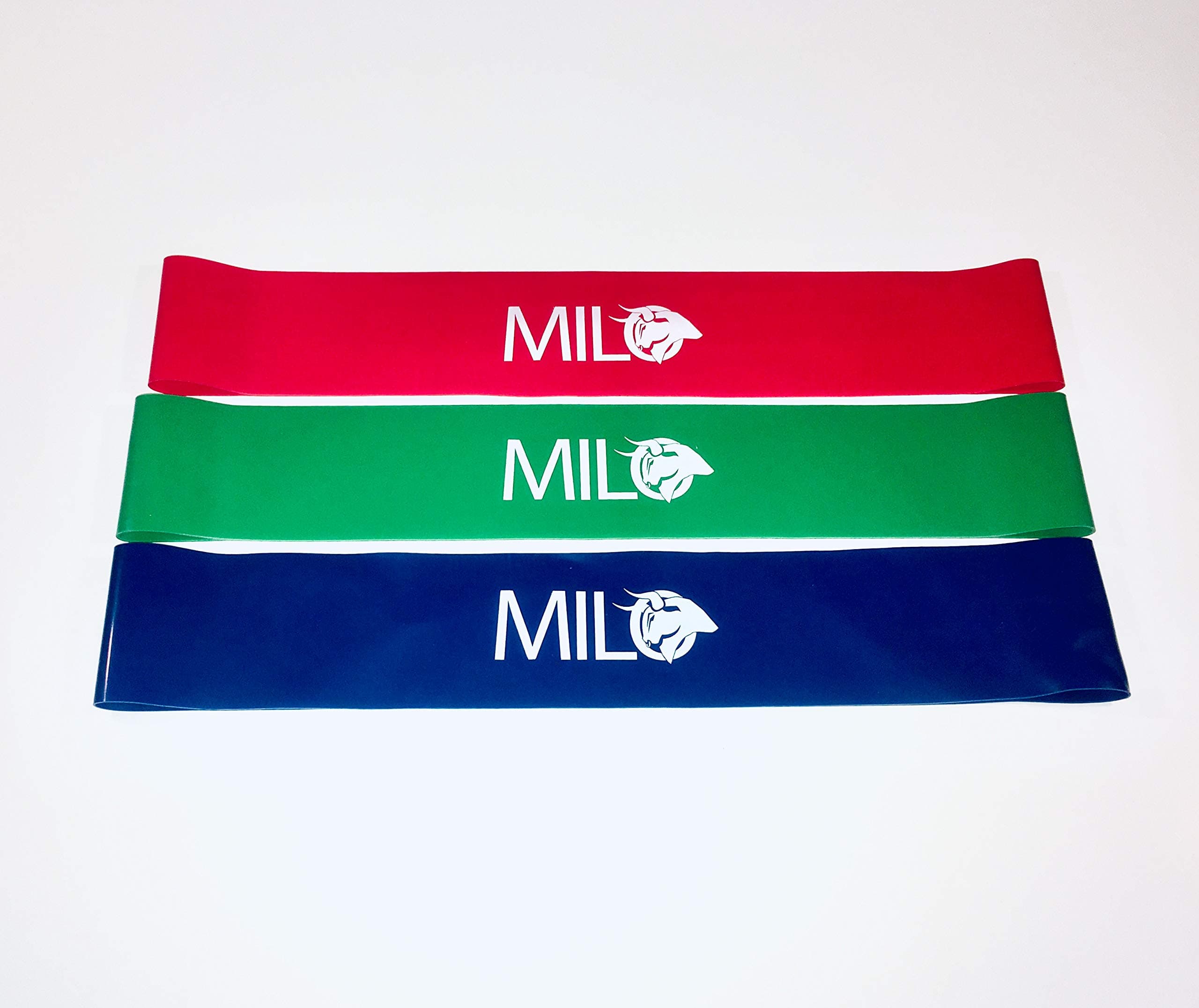 Milo Set of Various Resistance Bands