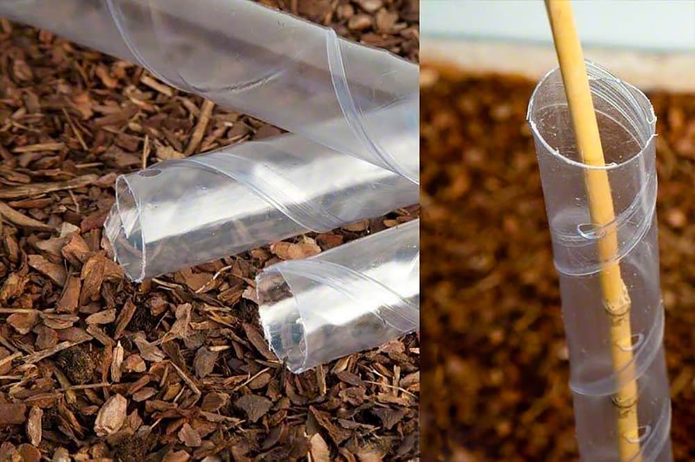 Tree Guard - Tree Protector - Spiral Tree Guards - Tree Protection - Guards And Stakes - Tree Protection From Rabbits - Hedge Protection - Plastic Tree Guards (50)