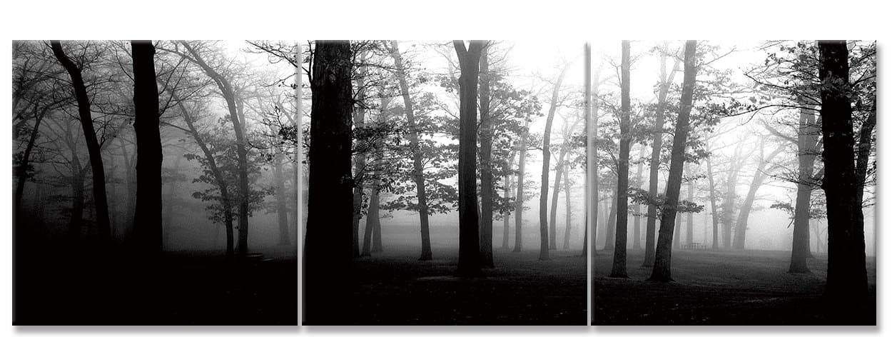 Canvas Print Wall Art (Art-6)