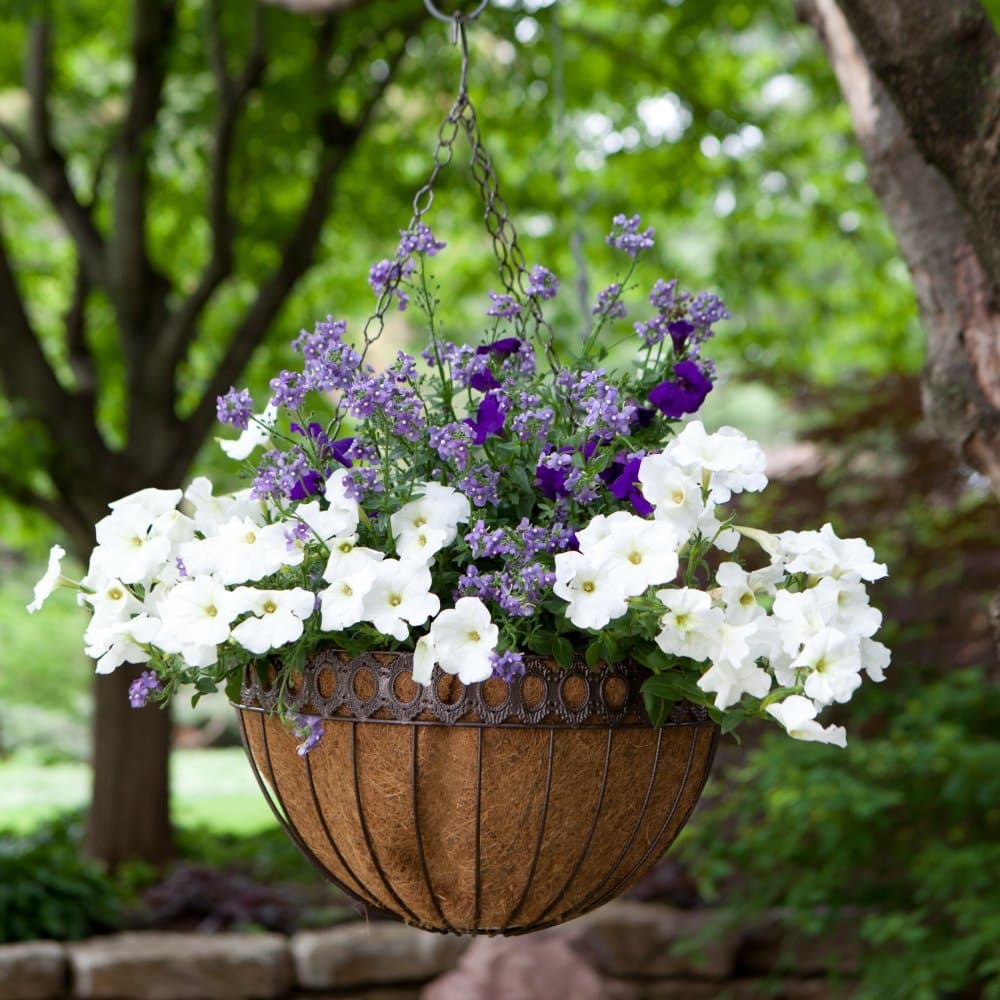 Victorian Round Hanging Planter Size: 20 "