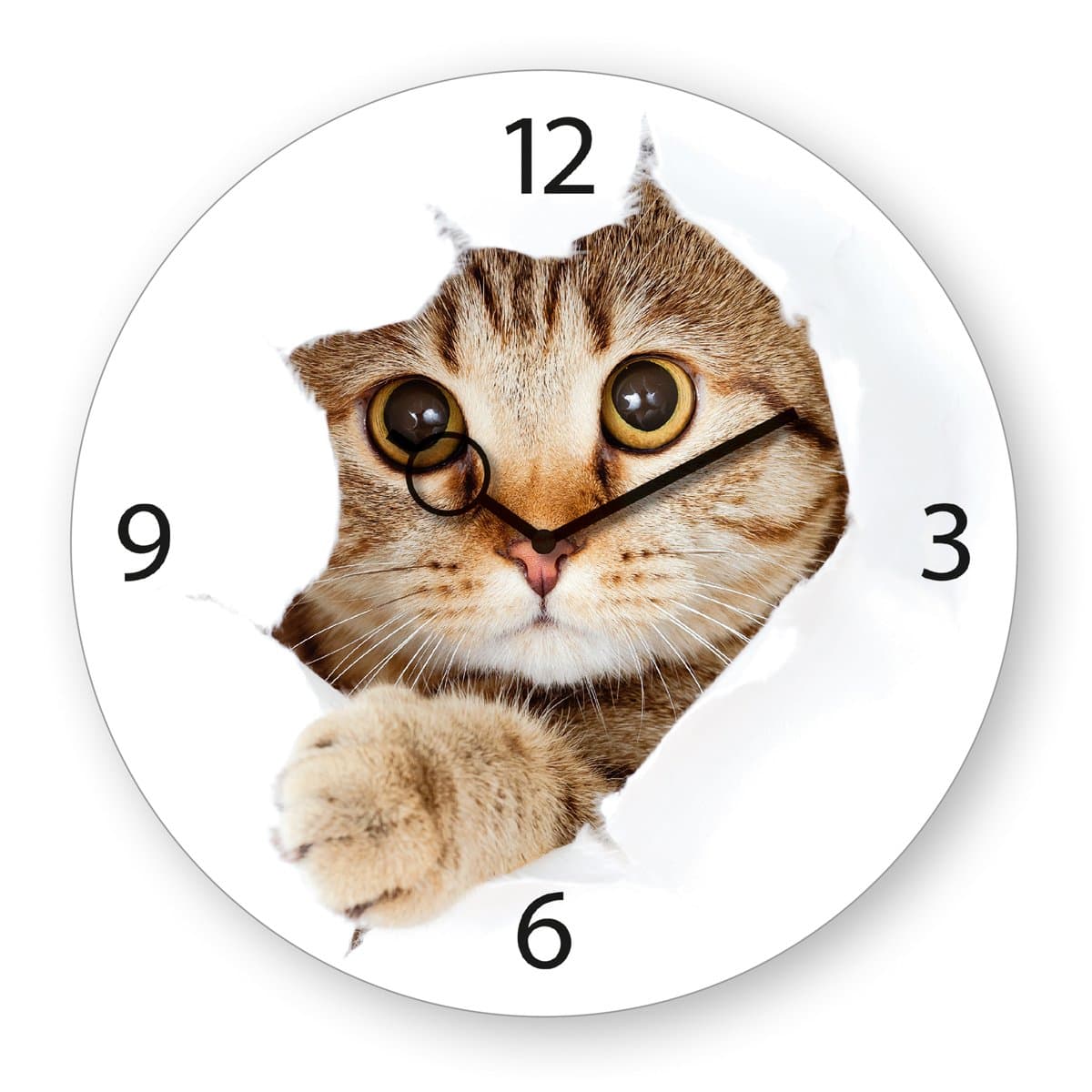 Platin Art Time Wall Clock, Come Kitty!