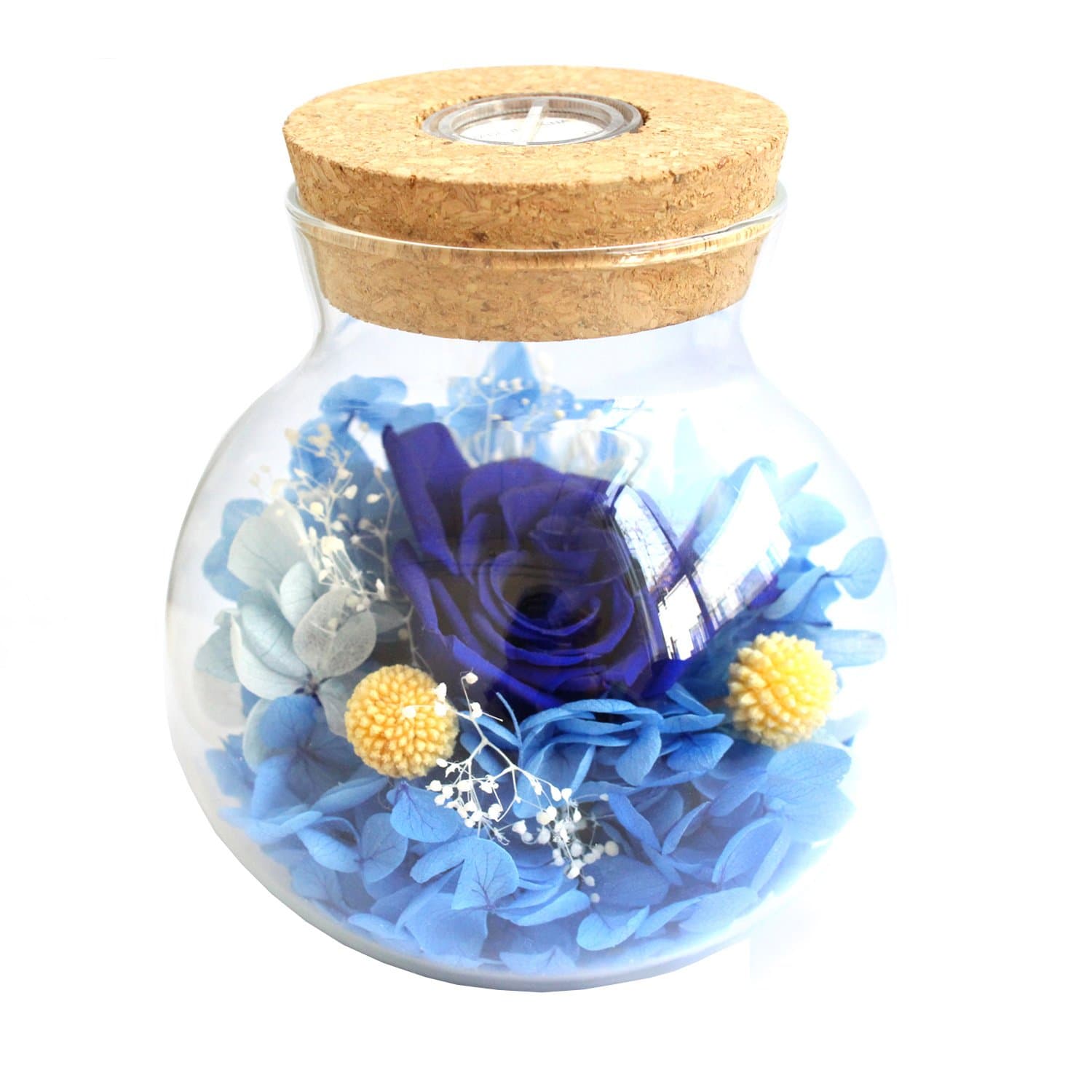 [New Version 2017] Havenfly Handmade Preserved Flowers Rose Decor with Apple-Shaped Glass-Best Gift for Valentine's Day, Mother's Day, Birthday (Blue)