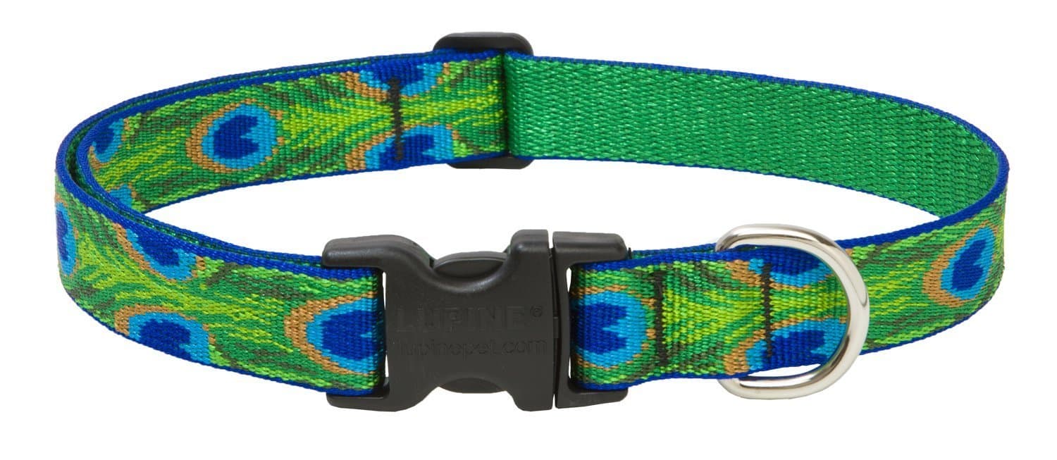Lupine Tail Feathers Patterned Adjustable Dog Collar for Medium/ Large Dogs, 1-inch/ 12 - 20-inch