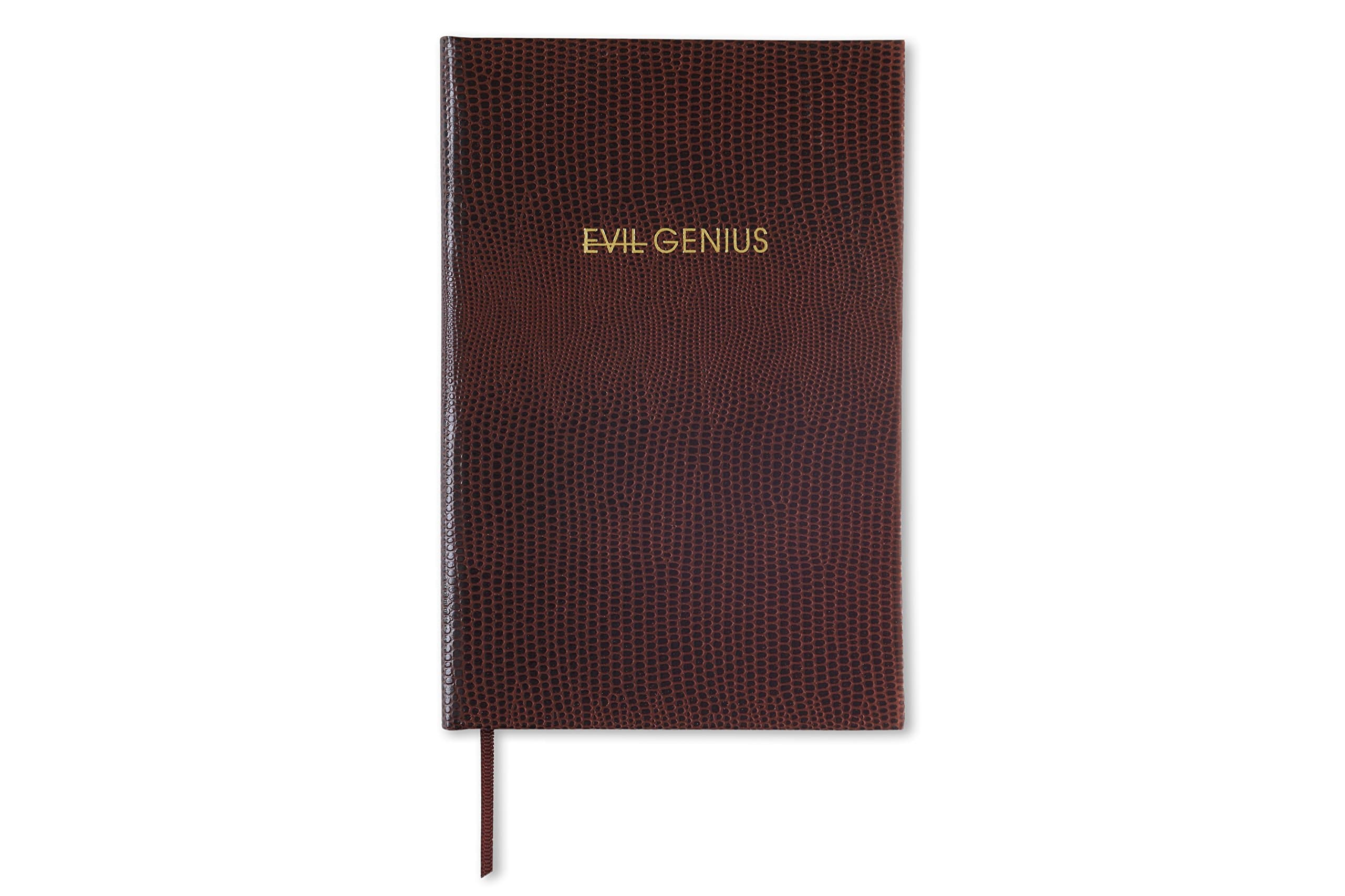 EVIL GENIUS - POCKET NOTEBOOK