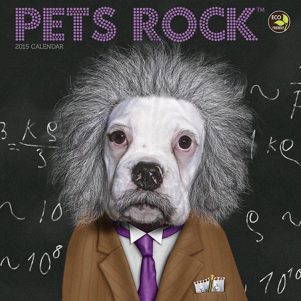 Pets Rock 2015 Small Wall Calendar
