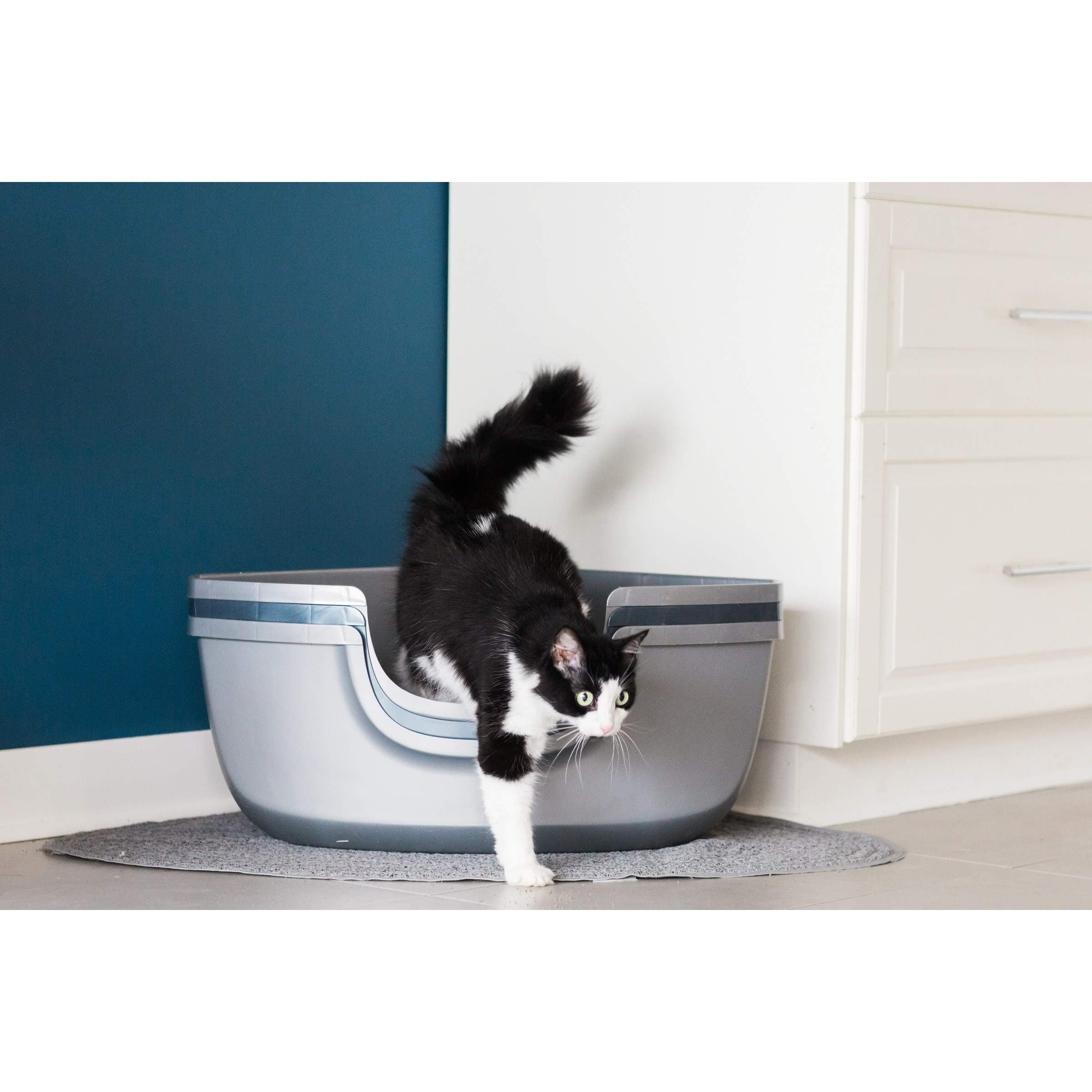 MISC Silver Grey Sifting Cat Litter Box Corner Pan Pet Cats Litter Box with High Sides Pets Privacy Contemporary Gray Blue, Eco-Friendly Plastic