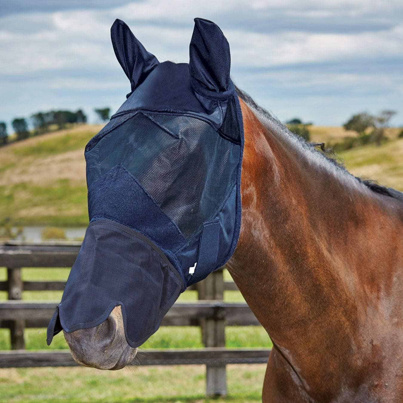 Weatherbeeta Fly Mask With Nose