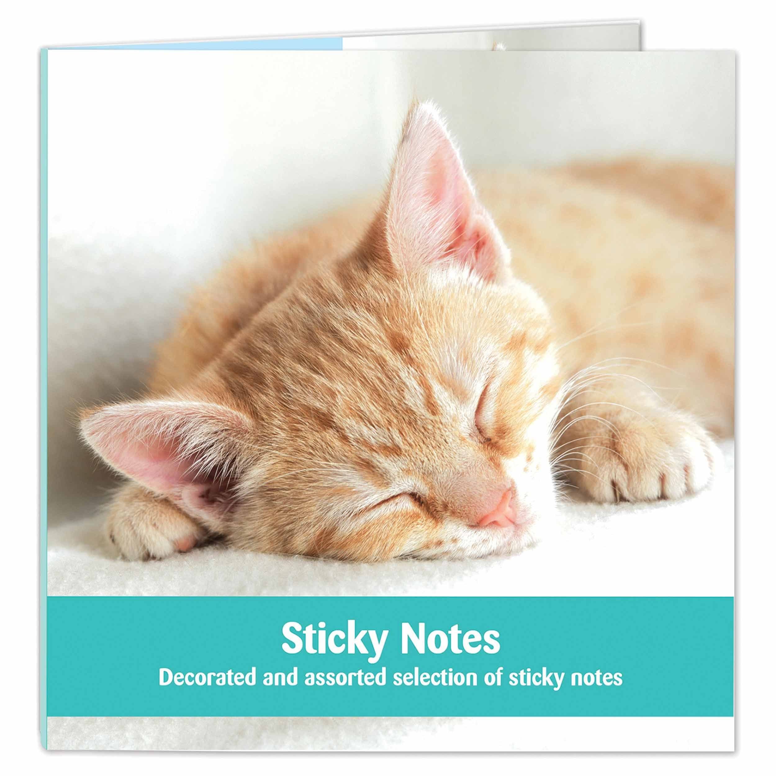 Cats Protection Stationery - Sticky Notes Selection Ginger Sleeping Kitten