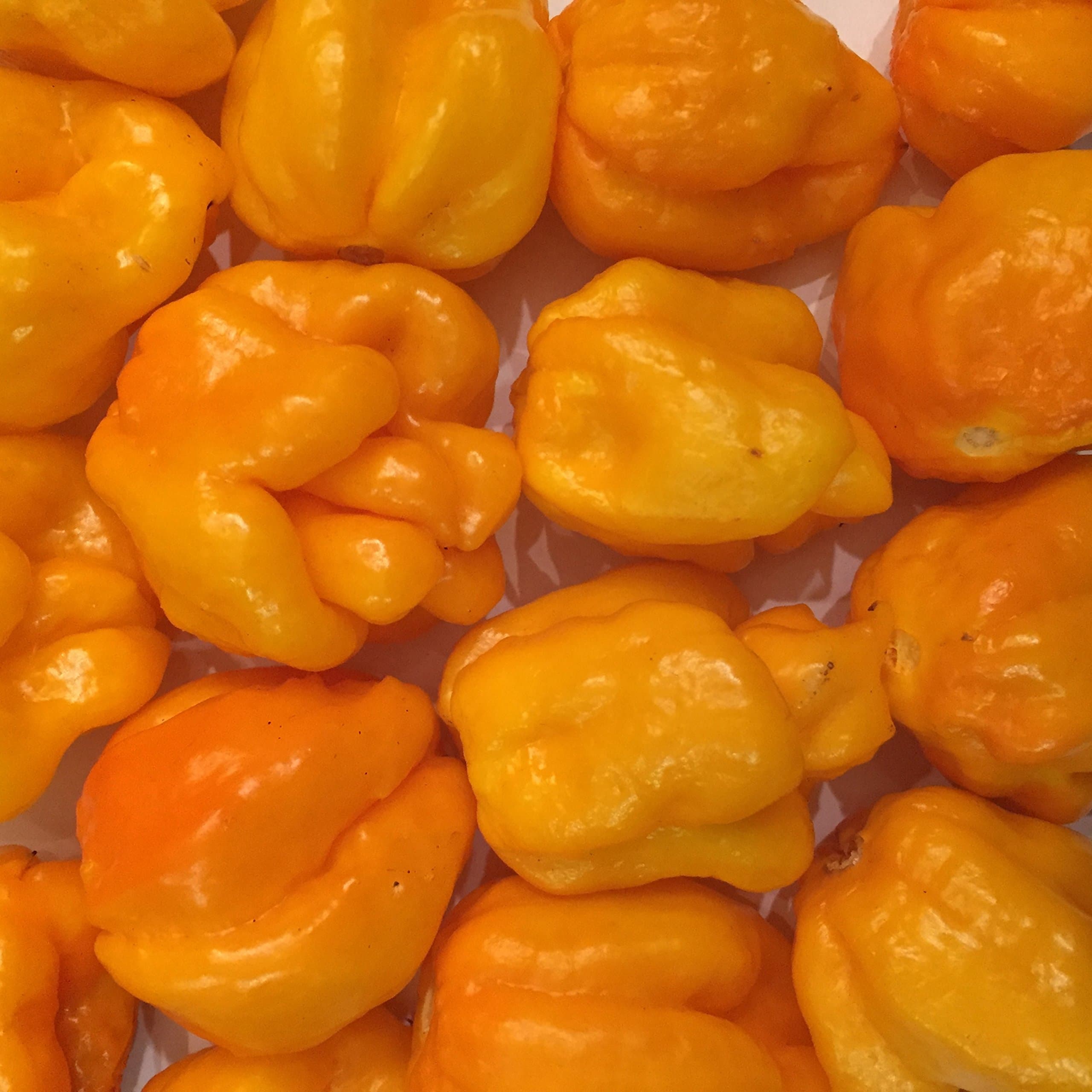 Yellow Scotch Bonnet Seeds